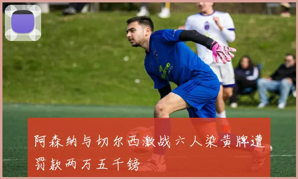 阿森纳与切尔西激战六人染黄牌遭罚款两万五千镑